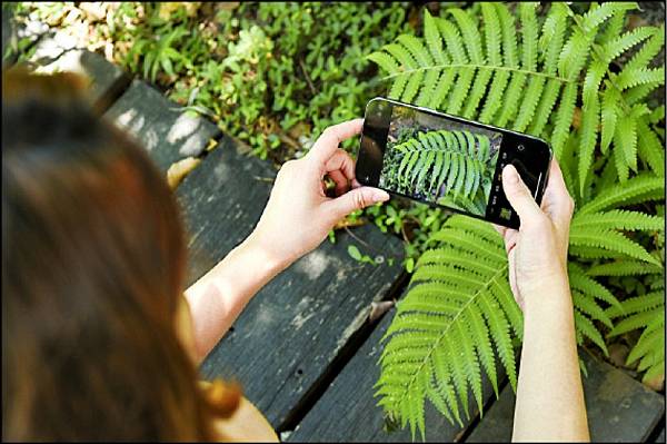 iPhone15微距拍攝怎麼用? iPhone15微距拍攝怎麼用?