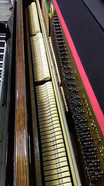 IMAG4702.jpg IMAG4702.jpg