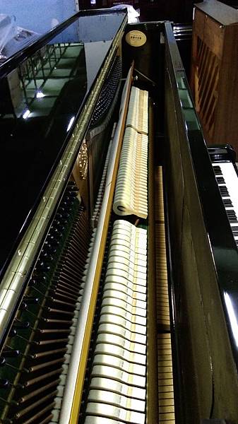 IMAG9884.jpg IMAG9884.jpg