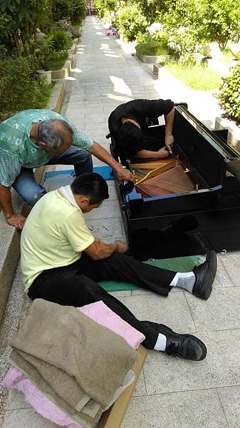 IMAG5732.jpg IMAG5732.jpg