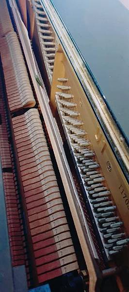 275060069_364364522264510_7781715601154917121_n.jpg 275060069_364364522264510_7781715601154917121_n.jpg