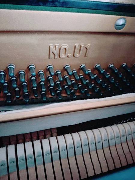 275390102_516181353575272_5905709219609888585_n.jpg 275390102_516181353575272_5905709219609888585_n.jpg