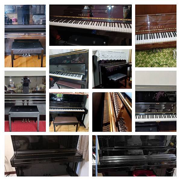 277592167_1196678471140574_2568590435600444411_n.jpg 277592167_1196678471140574_2568590435600444411_n.jpg