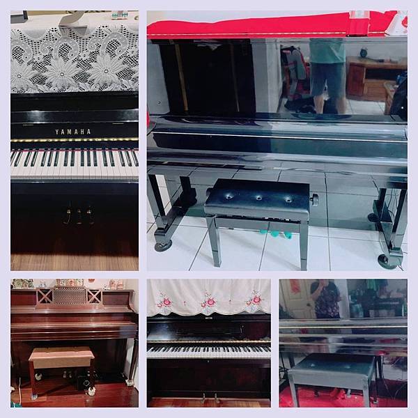 277984238_552601752859850_1359056605787285796_n.jpg 277984238_552601752859850_1359056605787285796_n.jpg