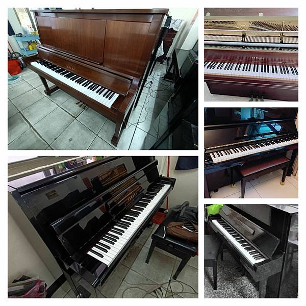 289904522_354158393461556_845182161179508503_n.jpg 289904522_354158393461556_845182161179508503_n.jpg