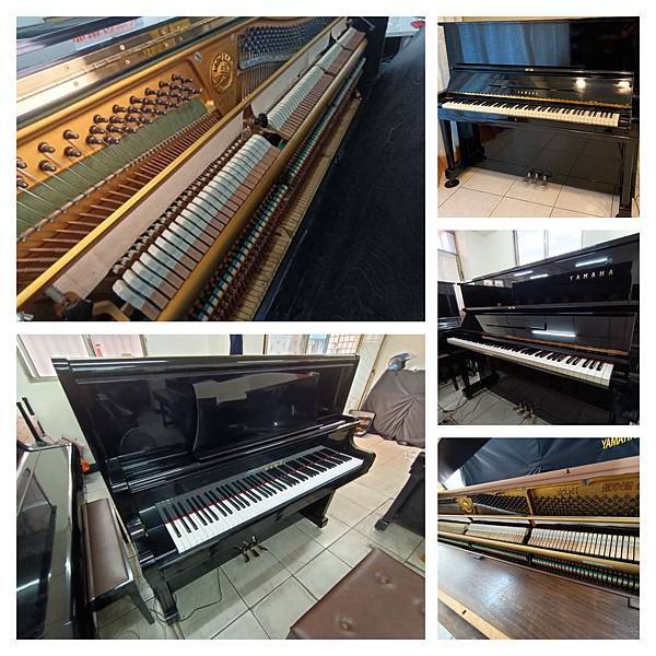 296396191_706352544146316_3447313899315365493_n.jpg 296396191_706352544146316_3447313899315365493_n.jpg