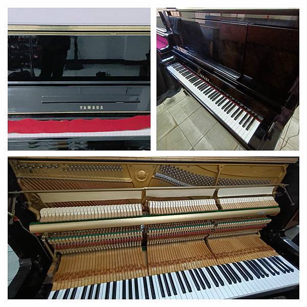 308444351_1738443823201047_1420177574772866338_n.jpg 308444351_1738443823201047_1420177574772866338_n.jpg