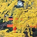 賀茂御祖神社(下鴨神社)