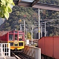 嵐山  嵯峨野小火車