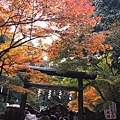 嵐山  野宮神社