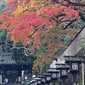 長樂寺  晨