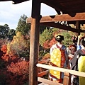 東福寺  通天橋