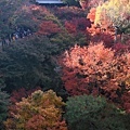 東福寺  洗玉澗