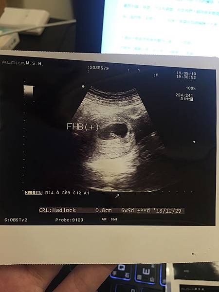 IMG_6256.JPG IMG_6256.JPG