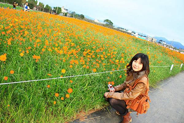 橘花海