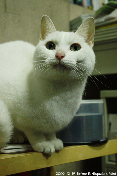 1219.jpg 1219.jpg