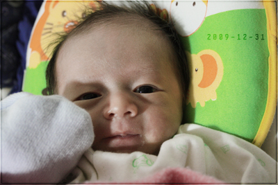20091231.jpg 20091231.jpg