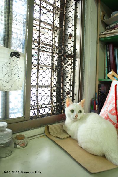 20100516-2.jpg 20100516-2.jpg
