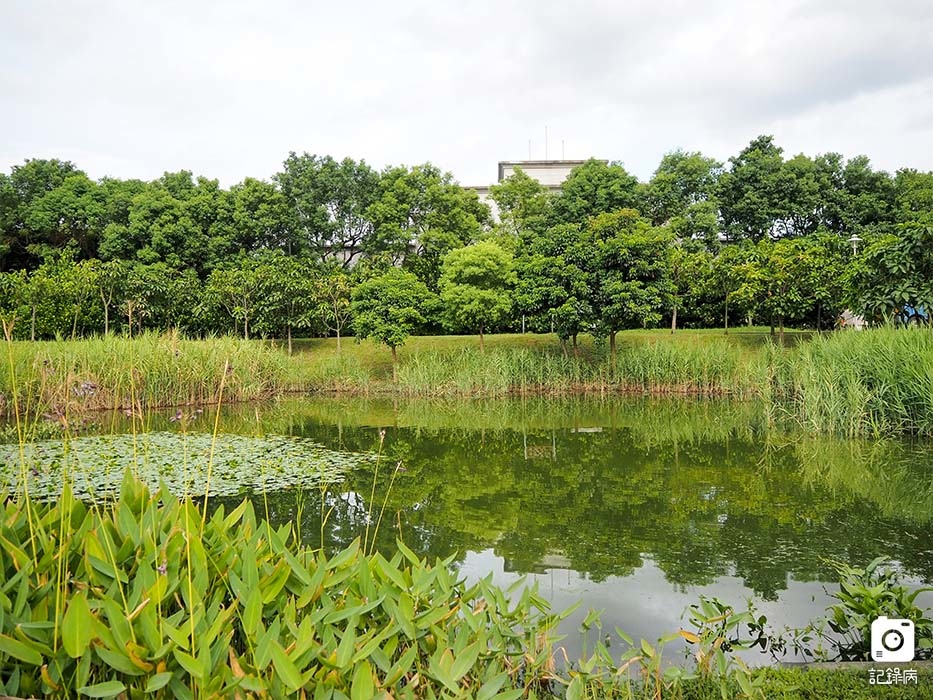 花博公園+玫瑰園+典藏植物園+迷宮-10 (1).jpg 花博公園+玫瑰園+典藏植物園+迷宮-10 (1).jpg