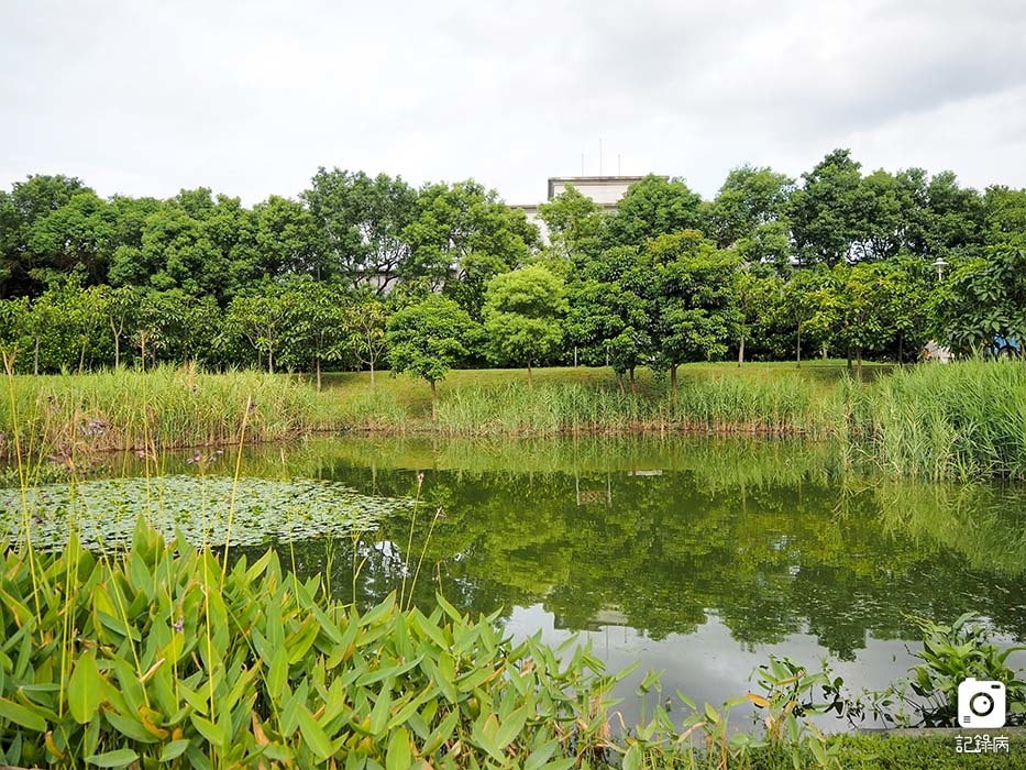 花博公園+玫瑰園+典藏植物園+迷宮-10 (1).jpg