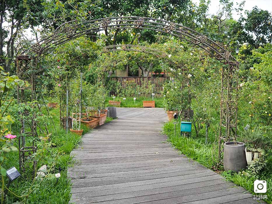 花博公園+玫瑰園+典藏植物園+迷宮-15 (1).jpg 花博公園+玫瑰園+典藏植物園+迷宮-15 (1).jpg