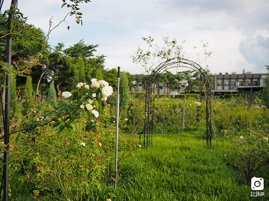花博公園+玫瑰園+典藏植物園+迷宮-16 (2).jpg 花博公園+玫瑰園+典藏植物園+迷宮-16 (2).jpg