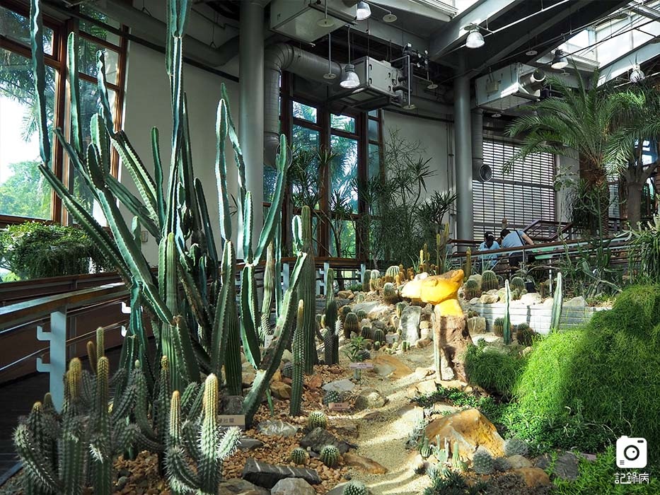 花博公園+玫瑰園+典藏植物園+迷宮-23 (1).jpg 花博公園+玫瑰園+典藏植物園+迷宮-23 (1).jpg