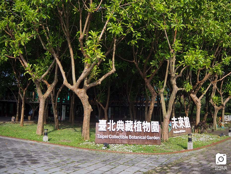 花博公園+玫瑰園+典藏植物園+迷宮-21 (1).jpg 花博公園+玫瑰園+典藏植物園+迷宮-21 (1).jpg