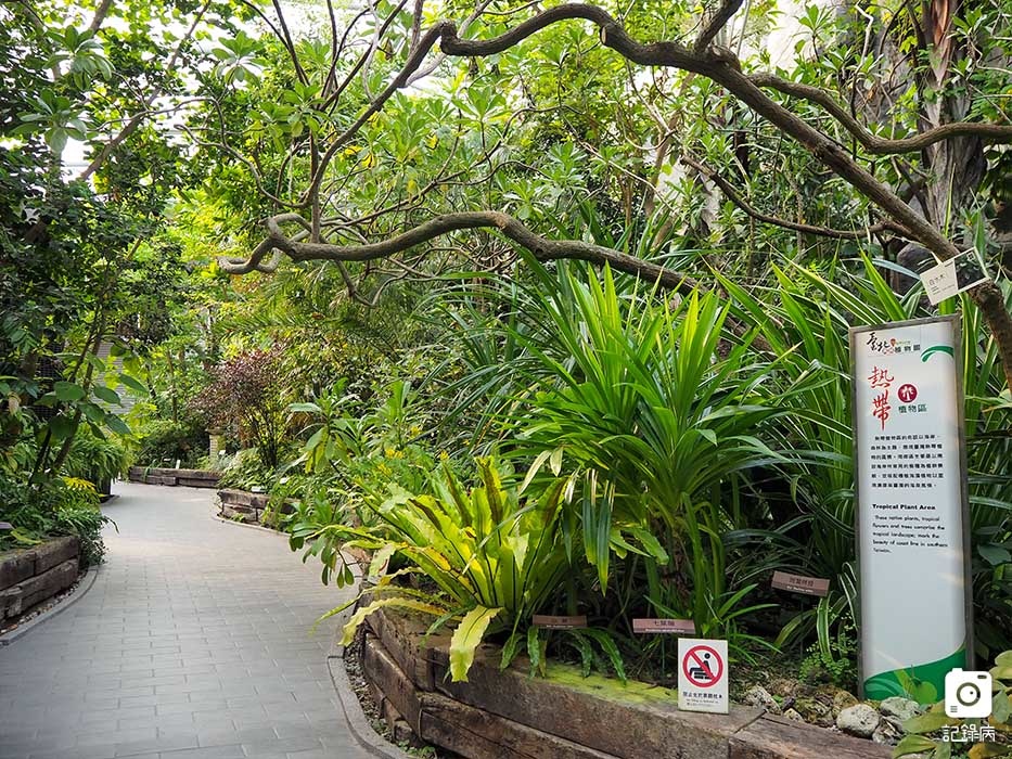 花博公園+玫瑰園+典藏植物園+迷宮-22 (1).jpg 花博公園+玫瑰園+典藏植物園+迷宮-22 (1).jpg