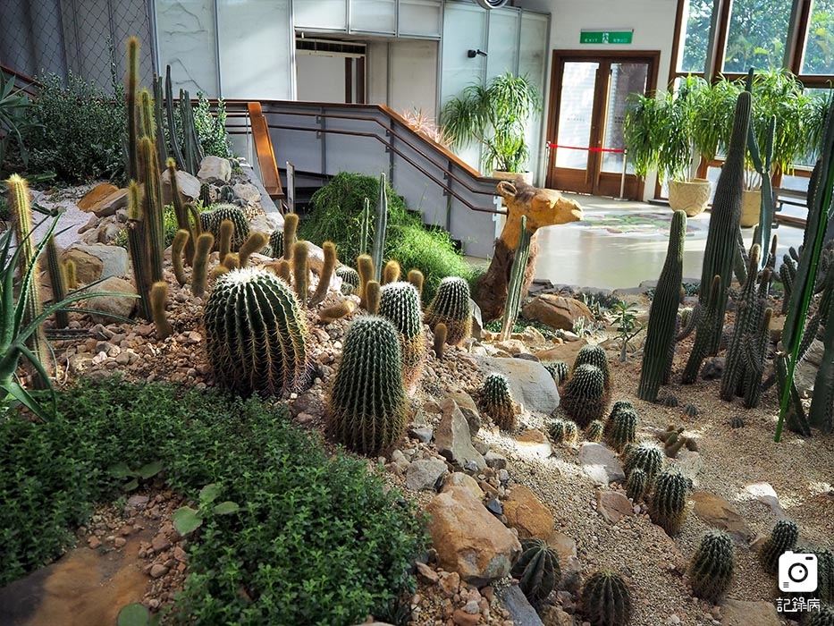 花博公園+玫瑰園+典藏植物園+迷宮-23 (2).jpg 花博公園+玫瑰園+典藏植物園+迷宮-23 (2).jpg