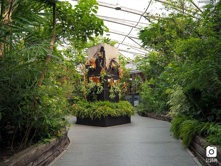花博公園+玫瑰園+典藏植物園+迷宮-22 (2).jpg 花博公園+玫瑰園+典藏植物園+迷宮-22 (2).jpg