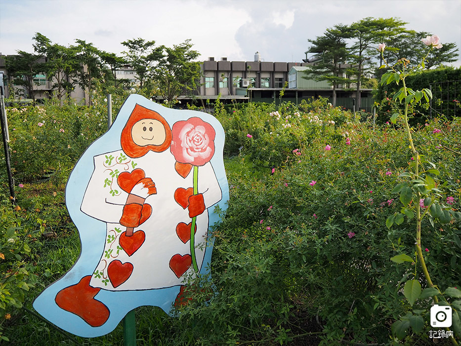 花博公園+玫瑰園+典藏植物園+迷宮-99.jpg 花博公園+玫瑰園+典藏植物園+迷宮-99.jpg