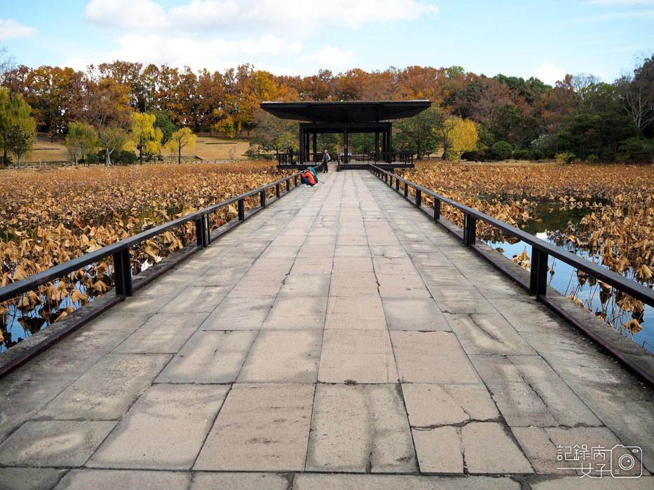 萬博公園+自然文化園+太陽之塔+日本庭園 (60).JPG