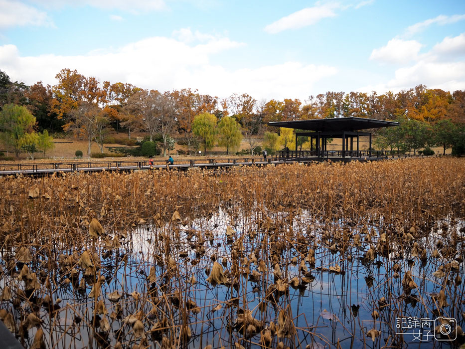 萬博公園+自然文化園+太陽之塔+日本庭園 (59).JPG 萬博公園+自然文化園+太陽之塔+日本庭園 (59).JPG