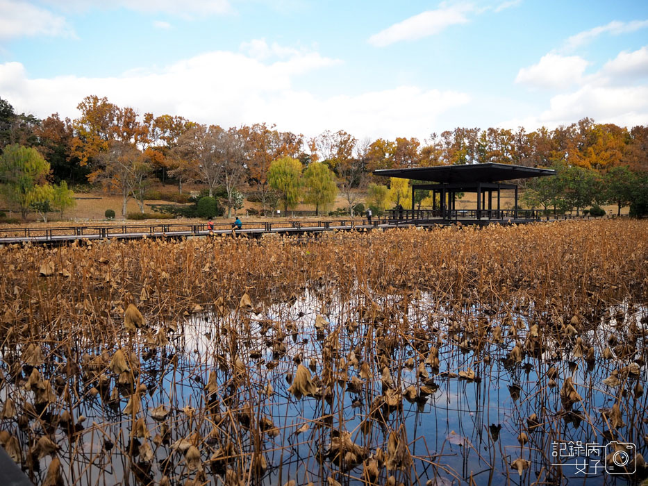 萬博公園+自然文化園+太陽之塔+日本庭園 (59).JPG