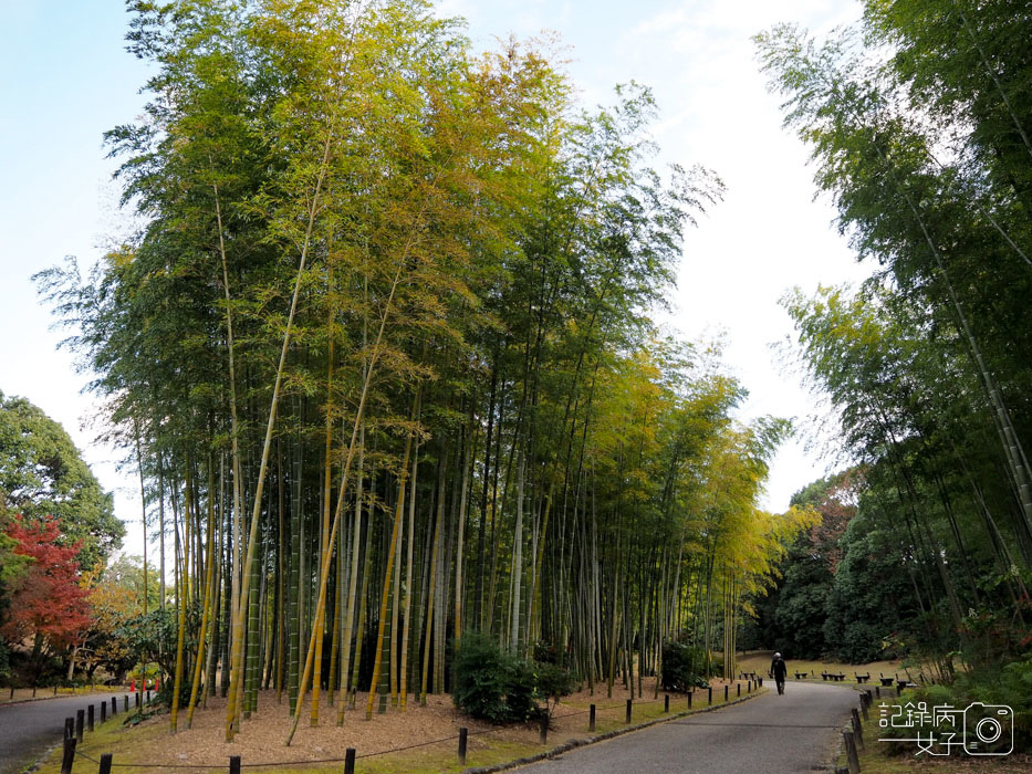 萬博公園+自然文化園+太陽之塔+日本庭園 (83).JPG 萬博公園+自然文化園+太陽之塔+日本庭園 (83).JPG