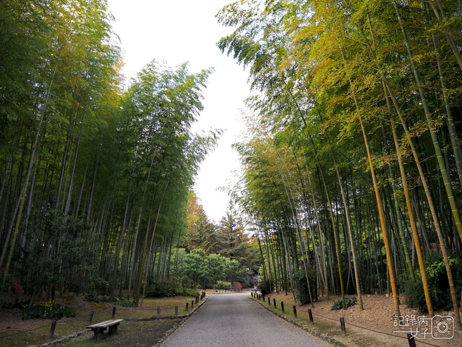 萬博公園+自然文化園+太陽之塔+日本庭園 (84).JPG