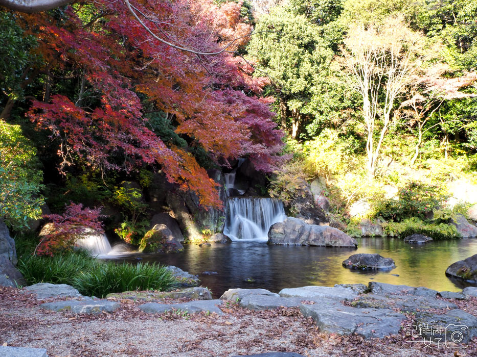 萬博公園+自然文化園+太陽之塔+日本庭園 (86).JPG