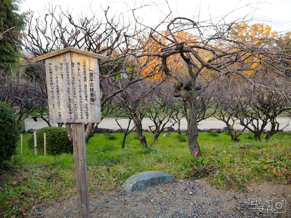 萬博公園+自然文化園+太陽之塔+日本庭園 (94).JPG