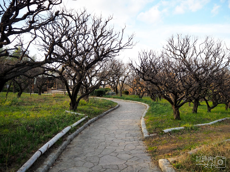 萬博公園+自然文化園+太陽之塔+日本庭園 (95).JPG