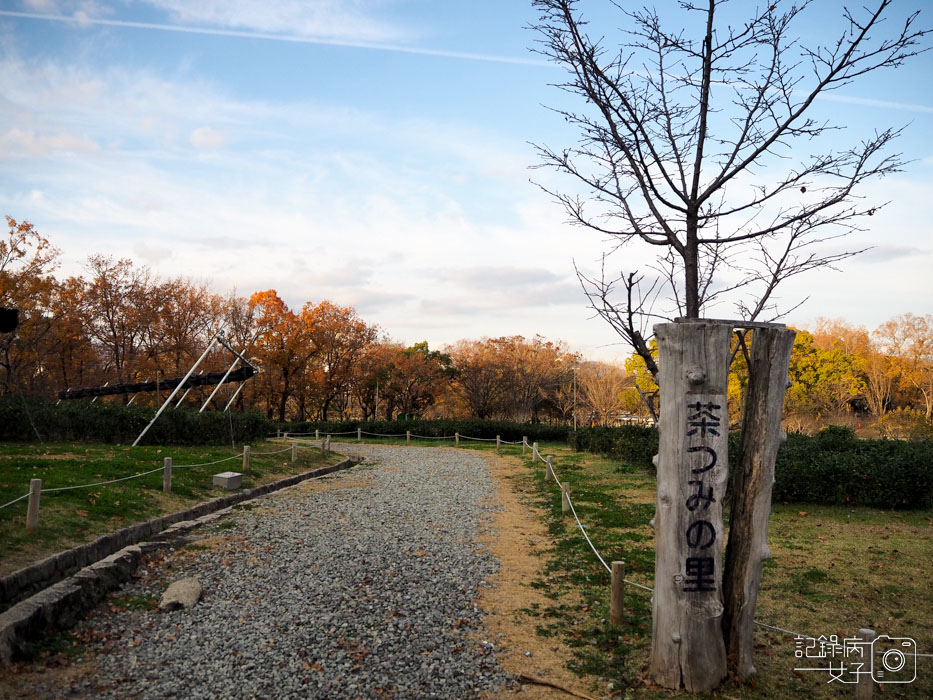 萬博公園+自然文化園+太陽之塔+日本庭園 (96).JPG