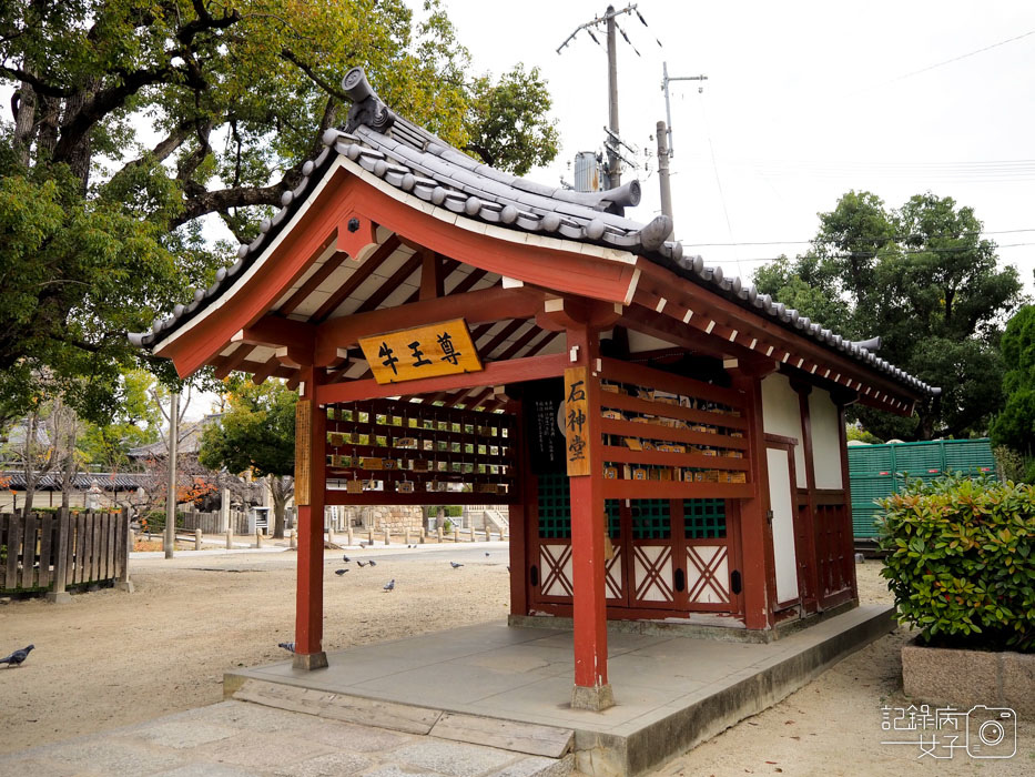 1-四天王寺+大黒堂+地藏山+太子殿+五重塔+中心伽藍 (81).JPG