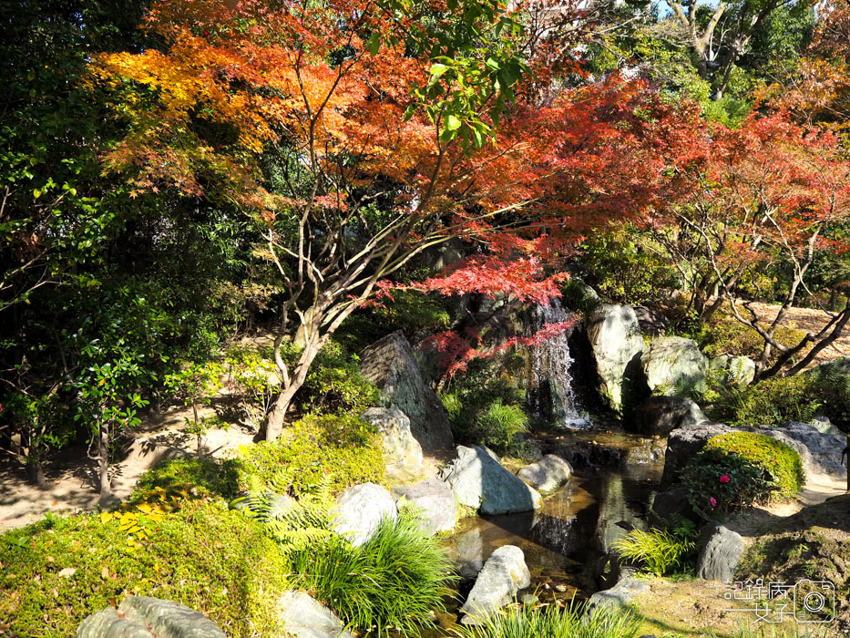 2-四天王寺+本坊庭園+極樂淨土之庭 (7).JPG