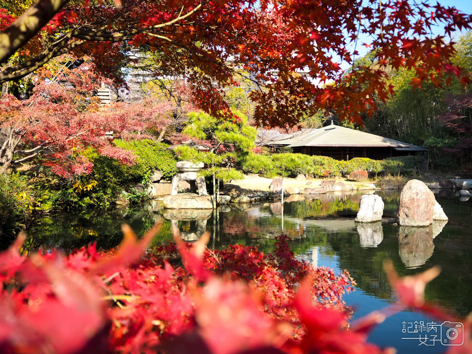 2-四天王寺+本坊庭園+極樂淨土之庭 (14).JPG