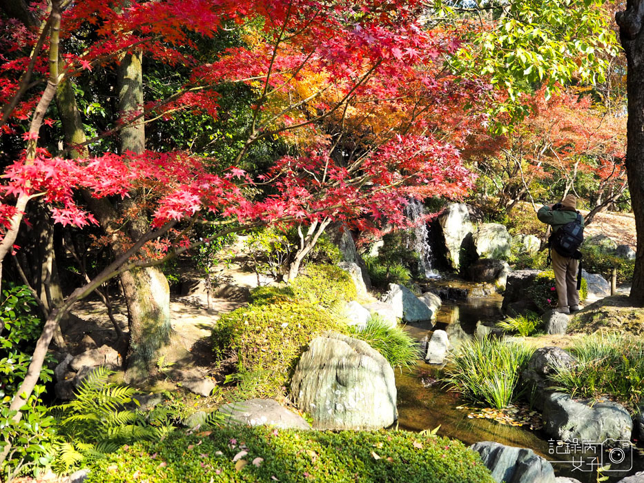 2-四天王寺+本坊庭園+極樂淨土之庭 (6).JPG