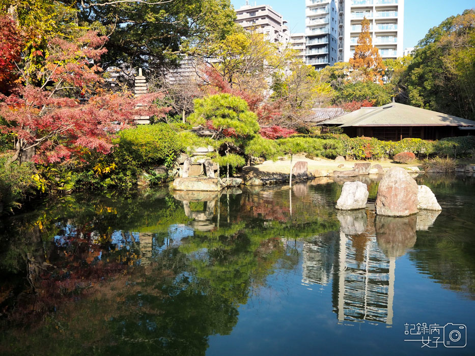 2-四天王寺+本坊庭園+極樂淨土之庭 (13).JPG