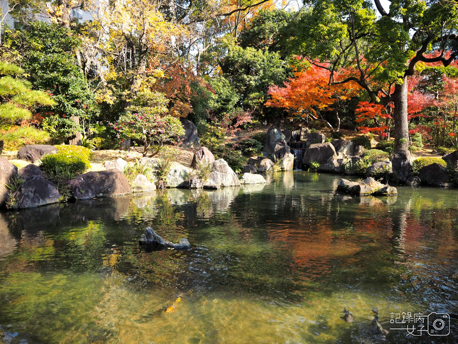 2-四天王寺+本坊庭園+極樂淨土之庭 (10).JPG