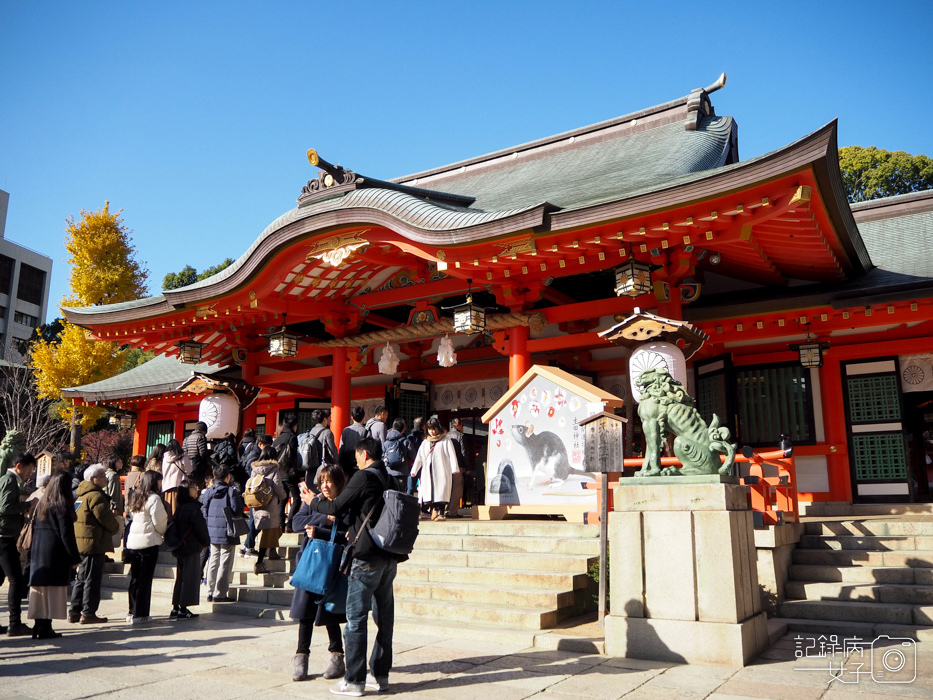 神戶-生田神社-生田の森-戀愛水籤占卜 (1).JPG