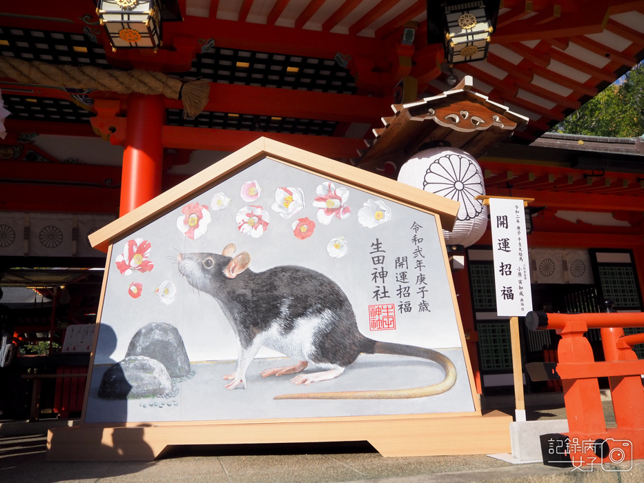 神戶-生田神社-生田の森-戀愛水籤占卜 (15).JPG