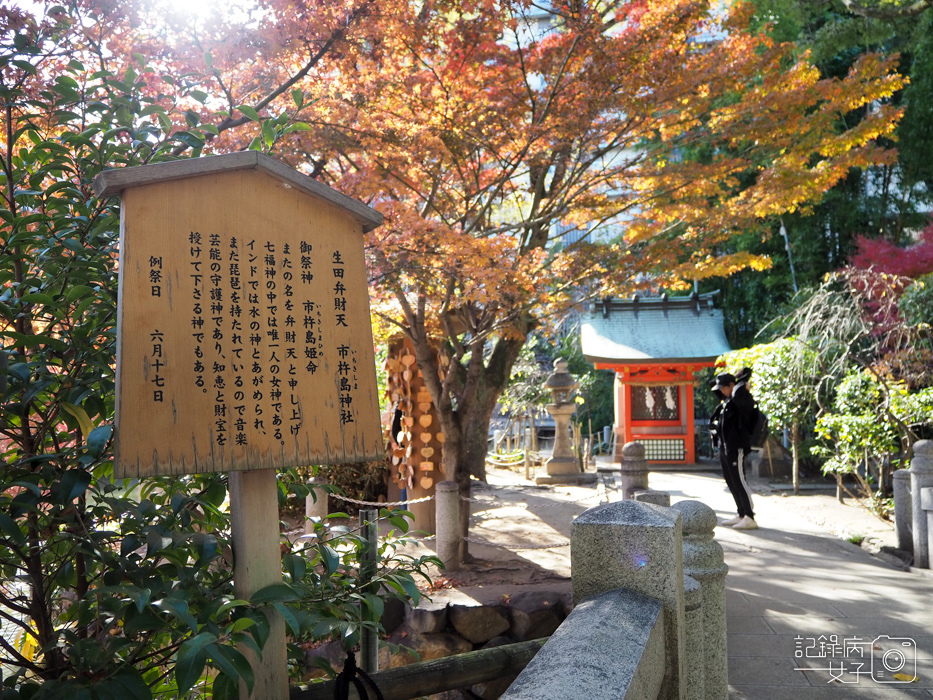 神戶-生田神社-生田の森-戀愛水籤占卜 (16).JPG